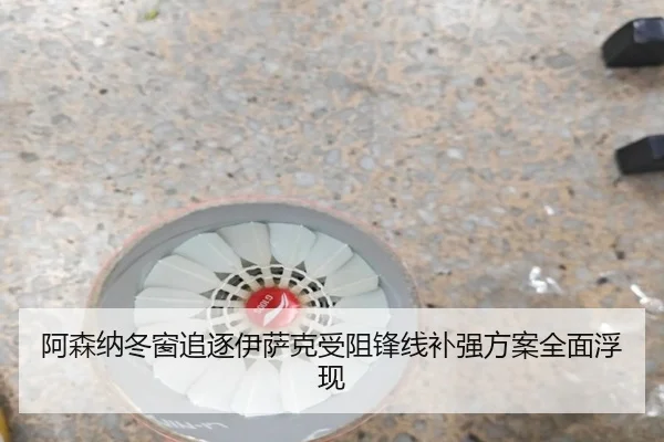 阿森纳冬窗追逐伊萨克受阻锋线补强方案全面浮现 | Jiuyou