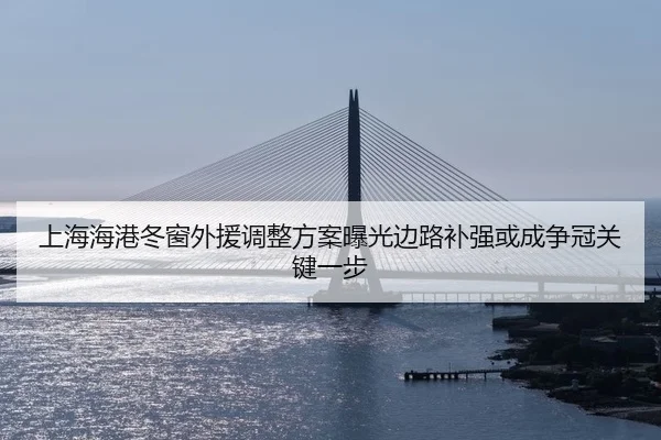 上海海港冬窗外援调整方案曝光边路补强或成争冠关键一步 | Jiuyou