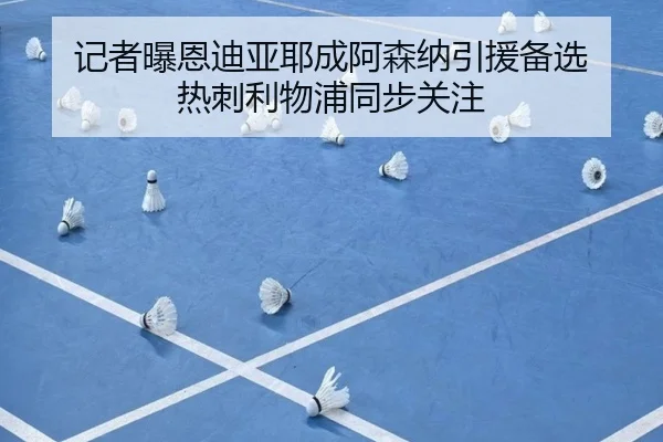 记者曝恩迪亚耶成阿森纳引援备选 热刺利物浦同步关注 | Jiuyou